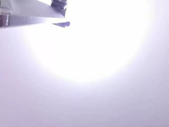 AbbyRaven on BongaCams 