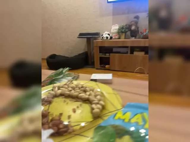 Alexsofia666 on BongaCams