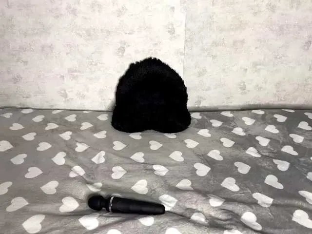 KittyNolick on BongaCams 