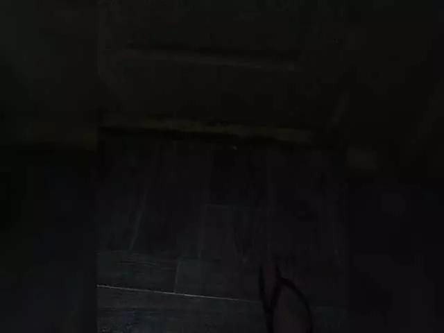 Offline SashaLena728 on BongaCams