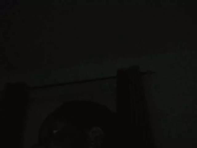 sexxybunny