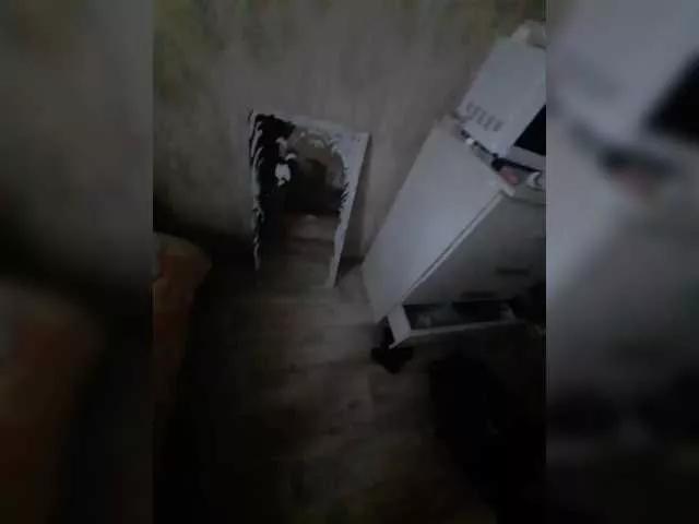Zanna28 on BongaCams 