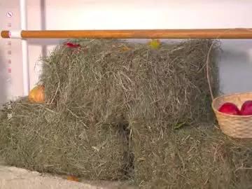 Freechat happynewdear on Chaturbate