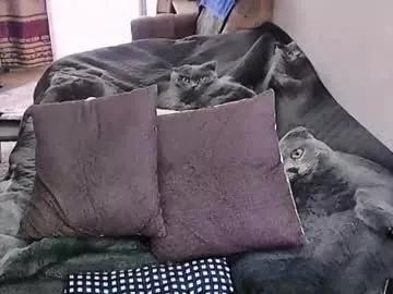 Freechat tviks on Chaturbate
