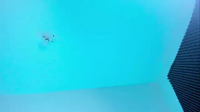 Freechat Ellope_ on StripChat