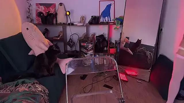 Erectioneering on StripChat 